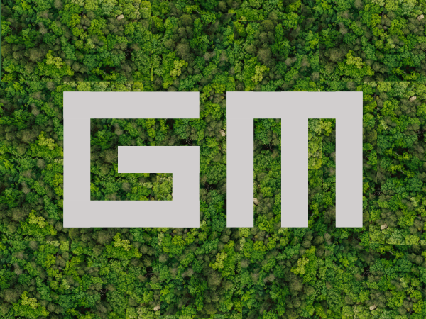 GM - Monumental sculpture in Yucatan